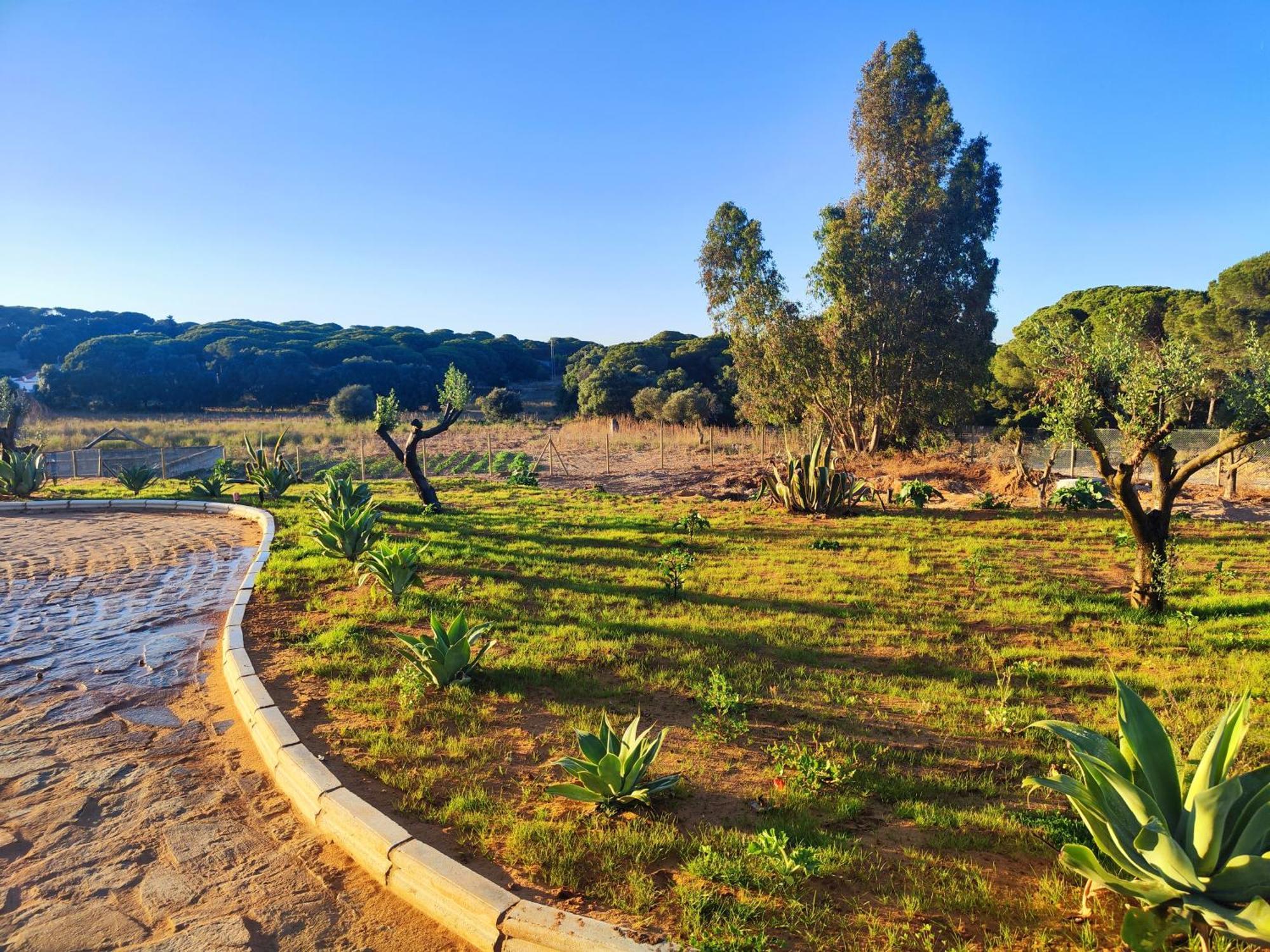 Вилла Hacienda La Yerbabuena Кадис Экстерьер фото